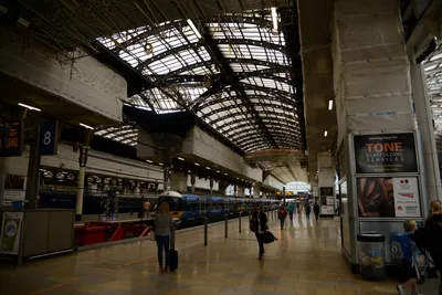 DSC_2513 (Large).JPG